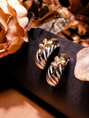 DAWN GOLD/SILVER EARRINGS image 1